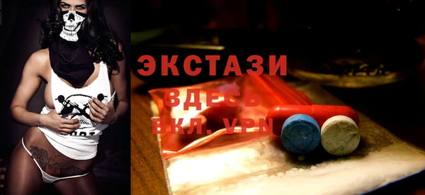 стаф Семилуки