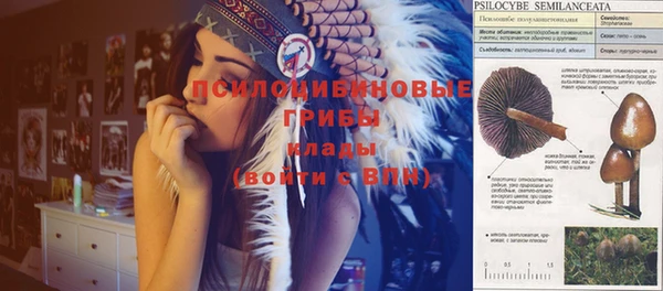 кокаин премиум Бородино