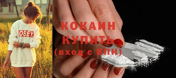 стаф Семилуки