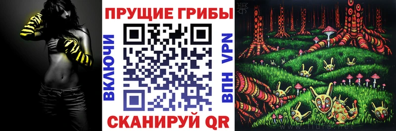 Галлюциногенные грибы Psilocybe Новозыбков